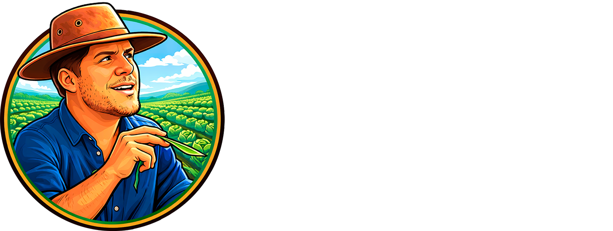 Bendito Orgânico