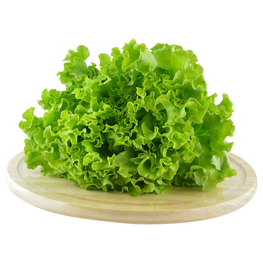 Alface Crespa